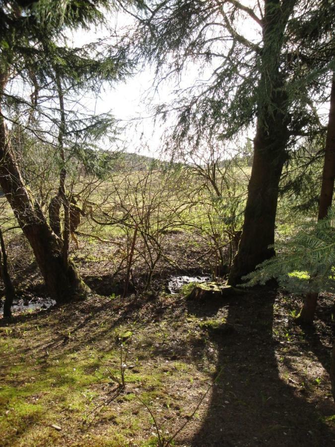 Ferienwohnung Wandervogel Braunlage Exterior foto